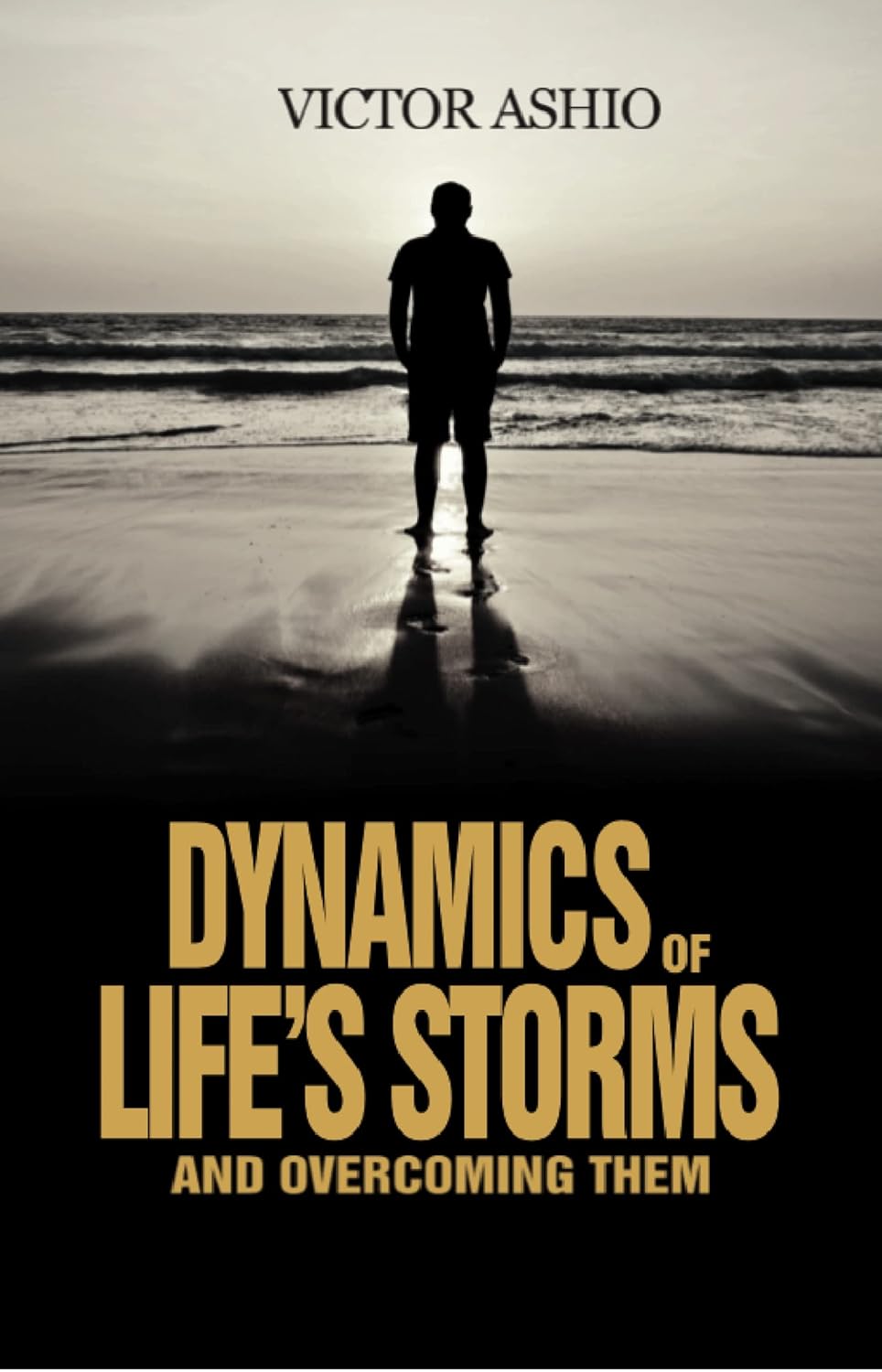 Book Cover - The Dynamic Of Life Storm